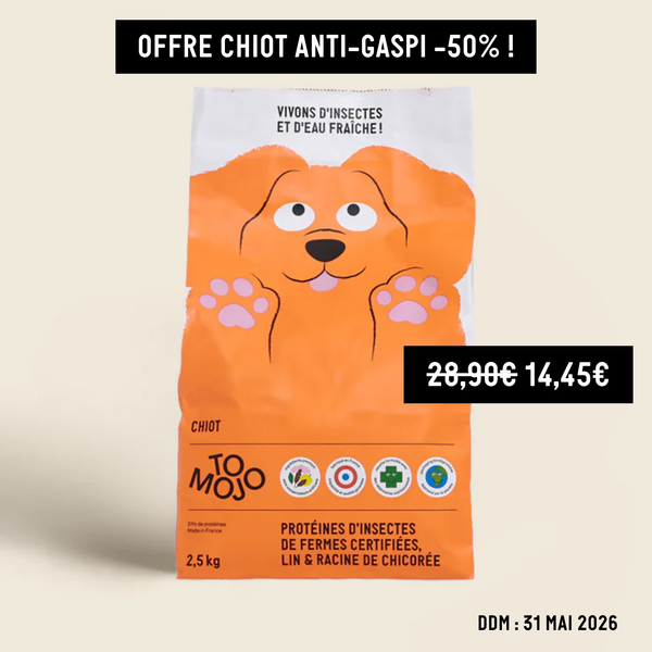 Dog kibble and treats – Tomojo