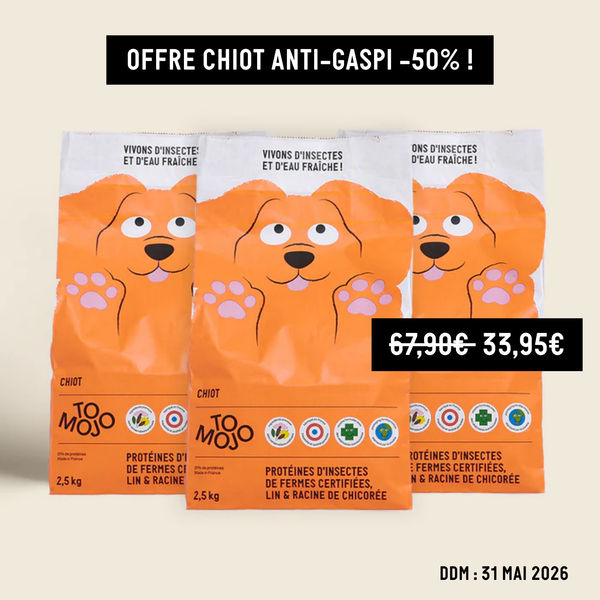 Dog kibble and treats – Tomojo