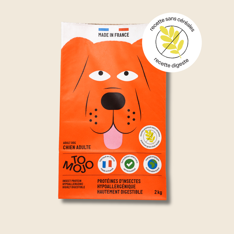 ドッグフード Tomoo Insect-based kibble for dogs – Tomojo