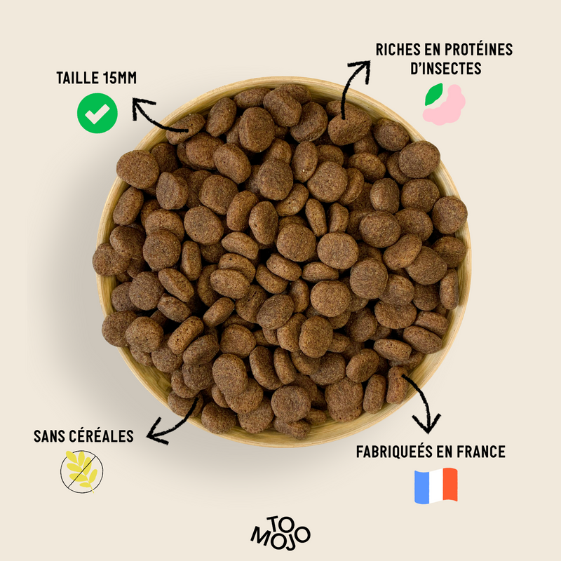 Croquettes chien adulte sans céréales