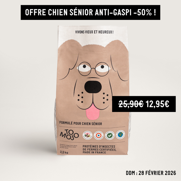 CROQUETTES CHIEN SÉNIOR