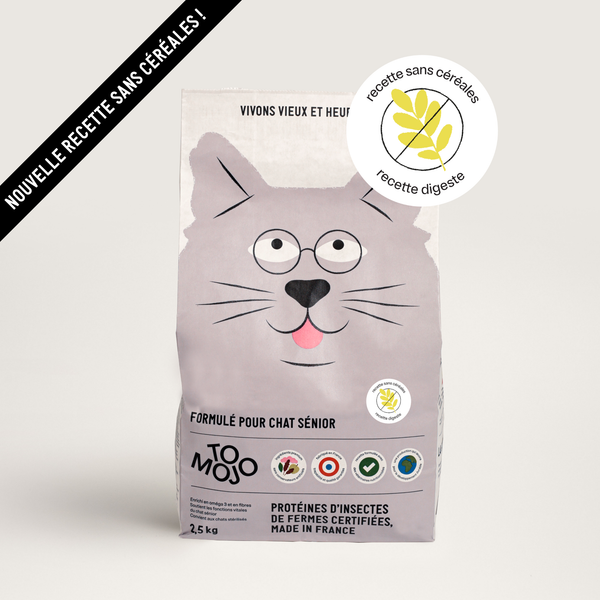 Insect kibble and treats for cats – Tomojo