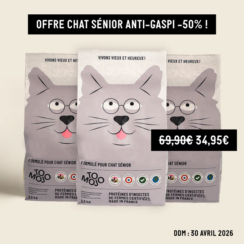 CROQUETTES CHAT SÉNIOR