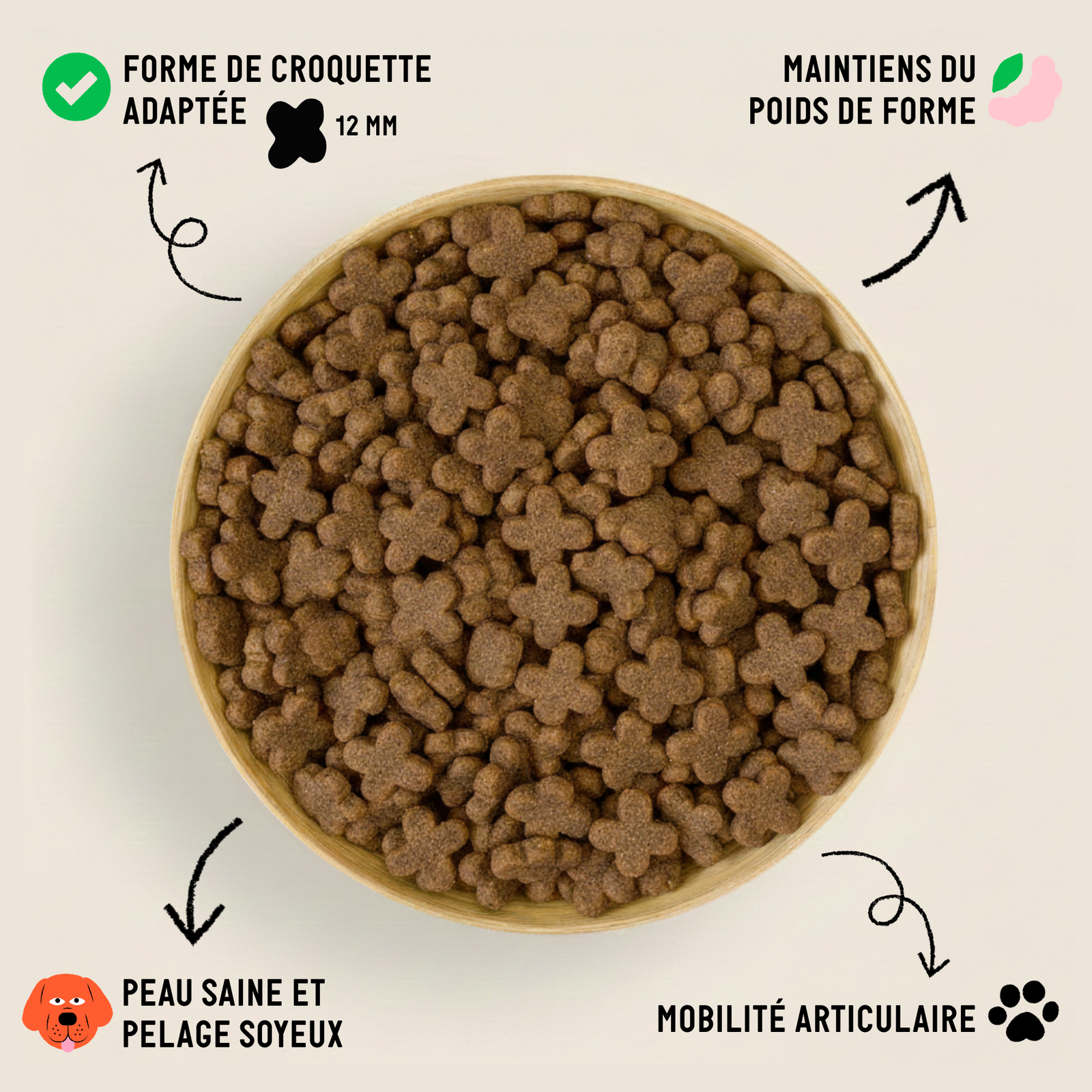 Insect-based kibble for senior dogs – Tomojo