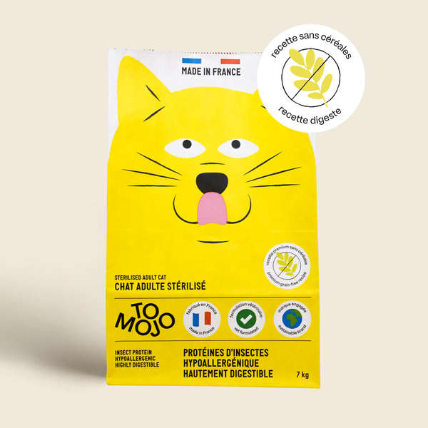 Insect kibble and treats for cats – Tomojo
