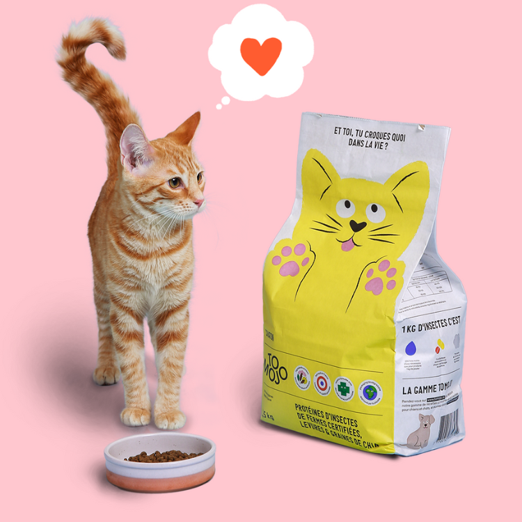 Insect based cat sales food