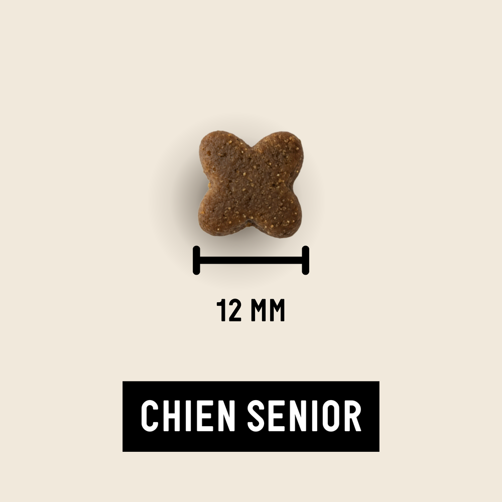 Taille Senior