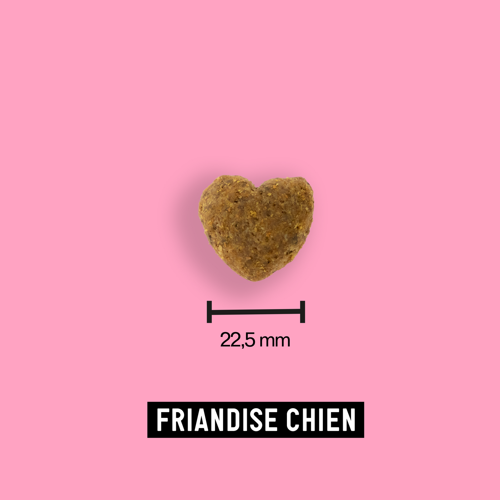 Insect-based kibble for dogs – Tomojo